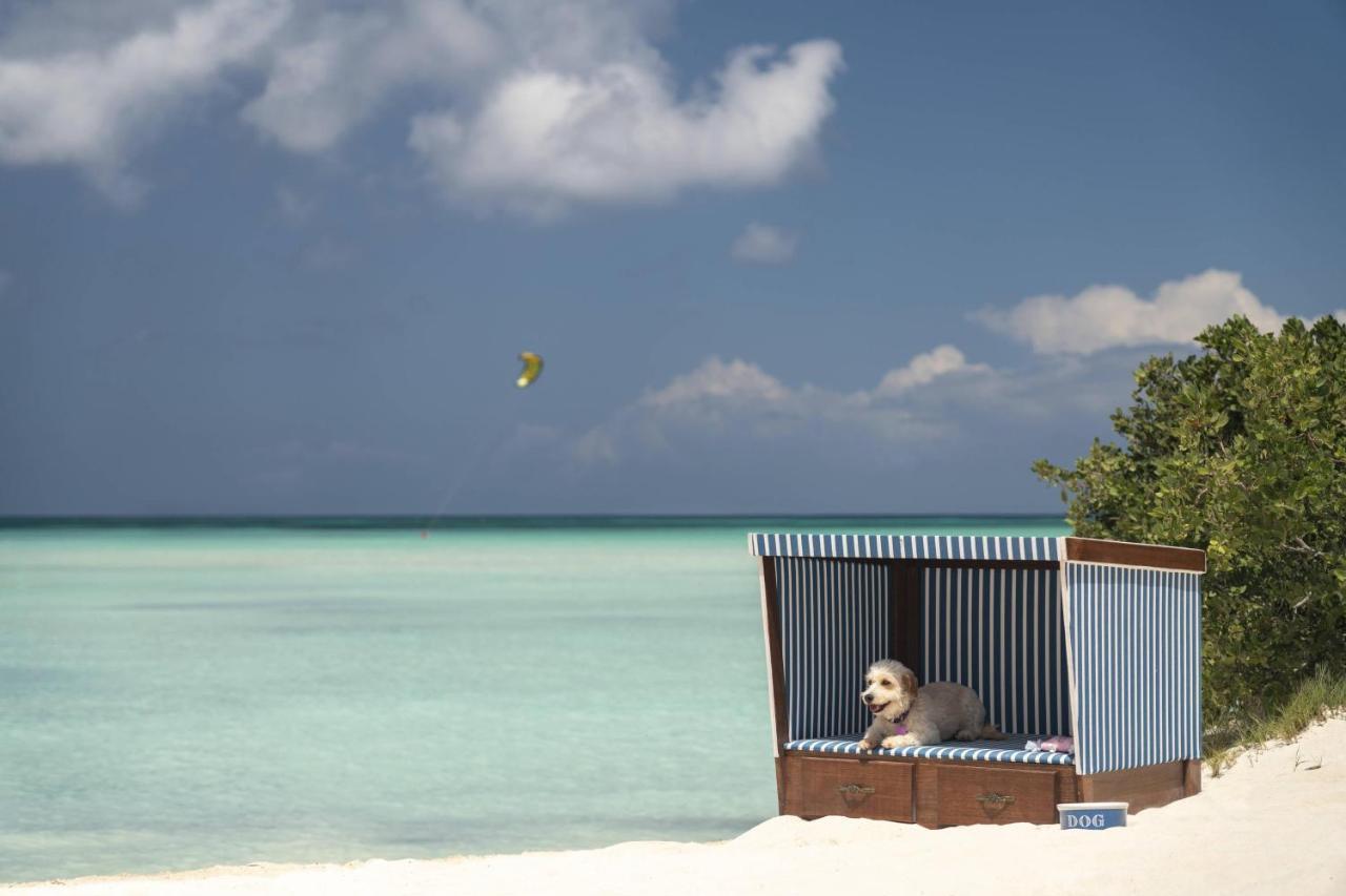 Hotel The Ritz-Carlton, Aruba Palm Beach Esterno foto